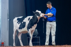 A109139-28392 A109139-28392