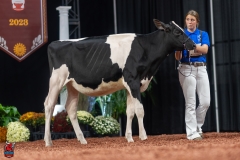 A109143-28393 A109143-28393