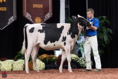 A109154-28395 A109154-28395