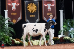 A109161-28396 A109161-28396