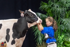 A109168-28397 A109168-28397