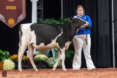 A109172-28398 A109172-28398