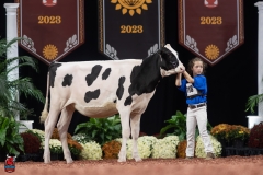 A109174-28399 A109174-28399