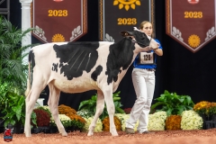 A109180-28401 A109180-28401