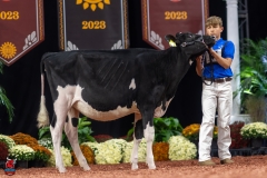 A109192-28402 A109192-28402