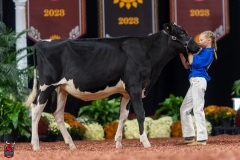 A109209-28404 A109209-28404