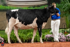 A100408-28573 A100408-28573