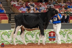 A100417-28574 A100417-28574