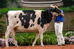 A100422-28575 A100422-28575