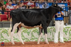 A100433-28576 A100433-28576