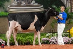 A100445-28577 A100445-28577