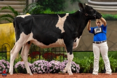 A100449-28578 A100449-28578