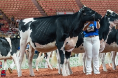 AR309980-Edit AR309980-Edit