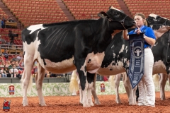 AR309987-28547 AR309987-28547