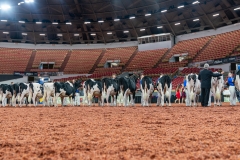 AR309989-Edit AR309989-Edit