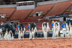 AR309993-Edit AR309993-Edit