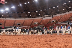 AR309996-28549 AR309996-28549