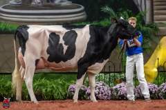 A101518-28696 A101518-28696