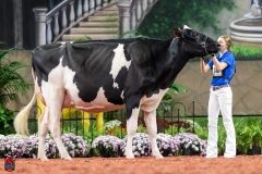 A101530-28697 A101530-28697