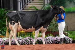 A101545-28699 A101545-28699