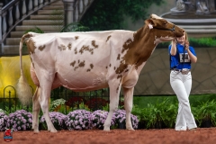 A101560-28700 A101560-28700