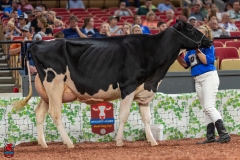 A101574-28702 A101574-28702