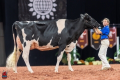 A101601-28703 A101601-28703