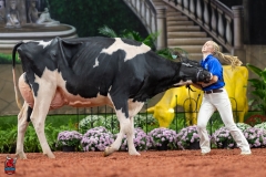 A101613-28704 A101613-28704