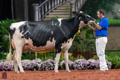 A101616-28705 A101616-28705