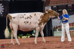 A101647-28707 A101647-28707