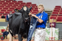 A101657-28708 A101657-28708