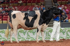 A101907-28729 A101907-28729