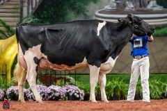 A101911-28730 A101911-28730