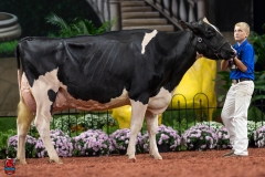 A101919-28731 A101919-28731