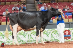 A101924-28732 A101924-28732