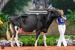 A101928-28733 A101928-28733