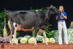 A101943-28734 A101943-28734