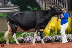 A101950-28735 A101950-28735