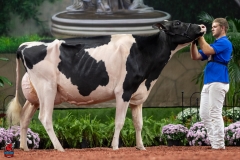 A101954-28736 A101954-28736