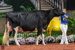 A101973-28738 A101973-28738