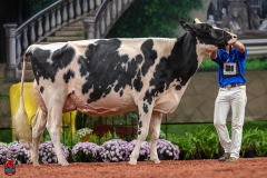 A102000-28739 A102000-28739