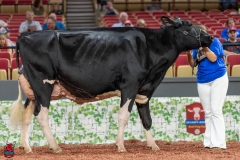 A102012-28740 A102012-28740