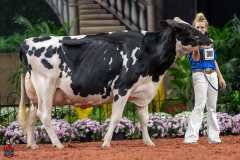 A102028-28742 A102028-28742