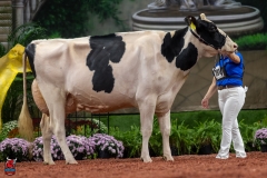 A102034-28743 A102034-28743