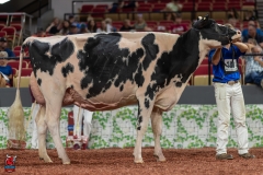 A102044-28744 A102044-28744