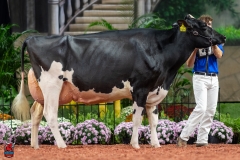 A102060-28745 A102060-28745