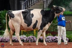 A102073-28746 A102073-28746