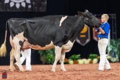 A102080-28747 A102080-28747