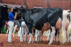 AR300204-Edit AR300204-Edit