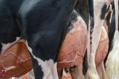 AR300206-Edit AR300206-Edit